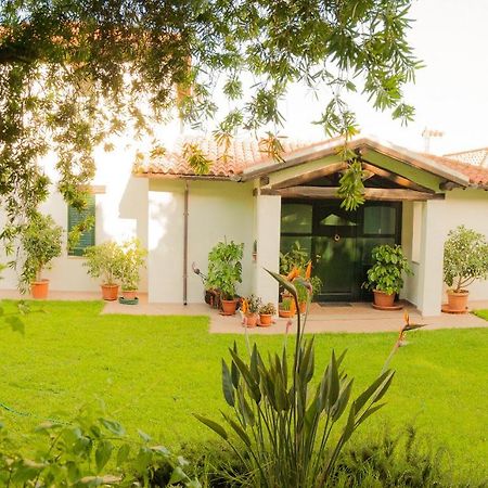 Villa Aurora Olbia Exterior foto